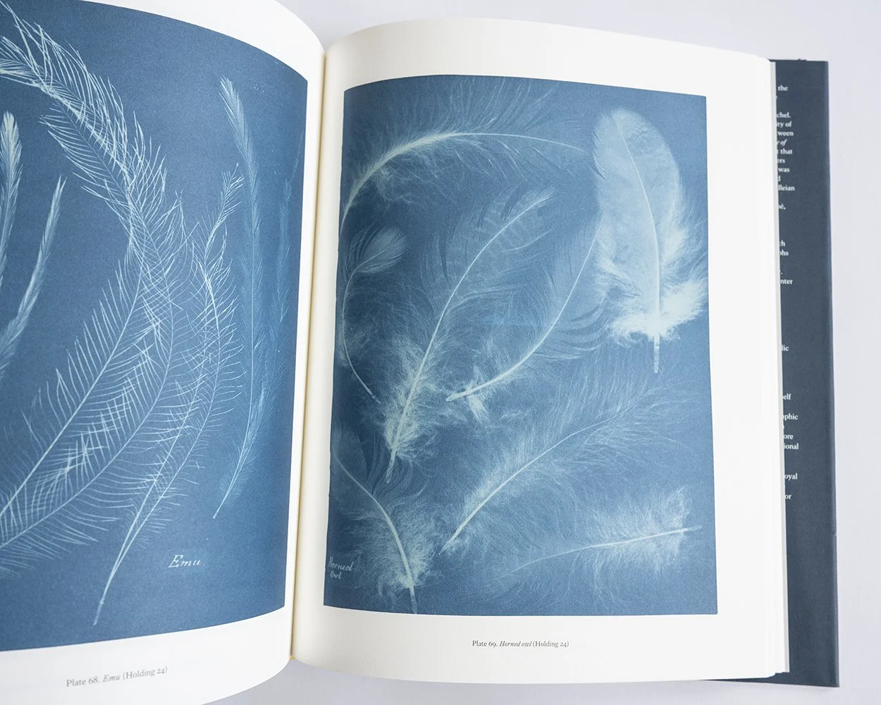 Le Corbusier: Synthesis of the Arts 1930–1965 — bookdummypress